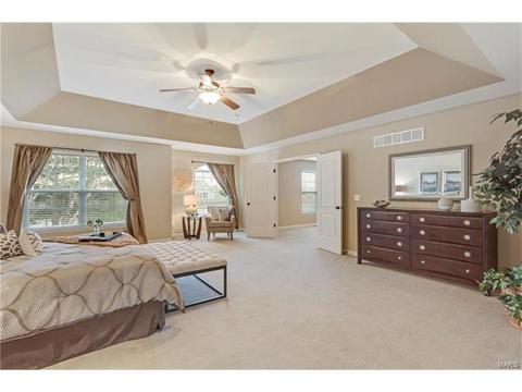 315 Tall Timber Meadows Dr, Ballwin, MO 63021 photo 18