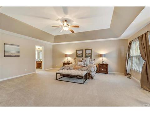 315 Tall Timber Meadows Dr, Ballwin, MO 63021 photo 17