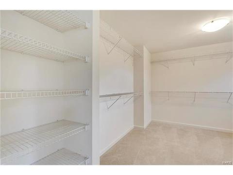 315 Tall Timber Meadows Dr, Ballwin, MO 63021 photo 22