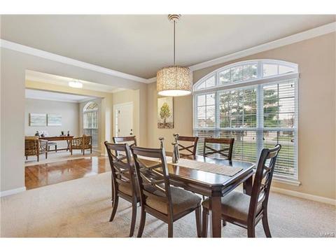 315 Tall Timber Meadows Dr, Ballwin, MO 63021 photo 6
