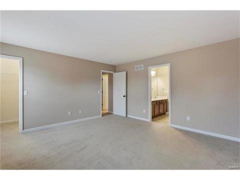 315 Tall Timber Meadows Dr, Ballwin, MO 63021 photo 29