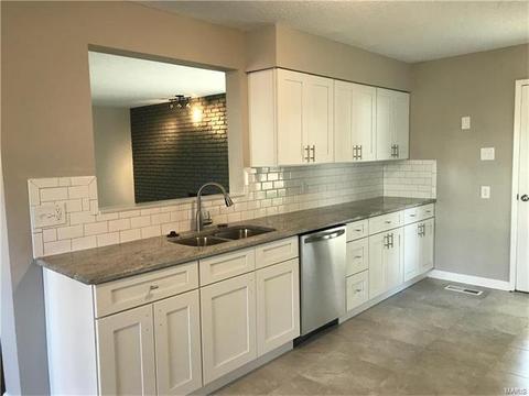 501 Lalor, Ballwin, MO 63011 photo 20