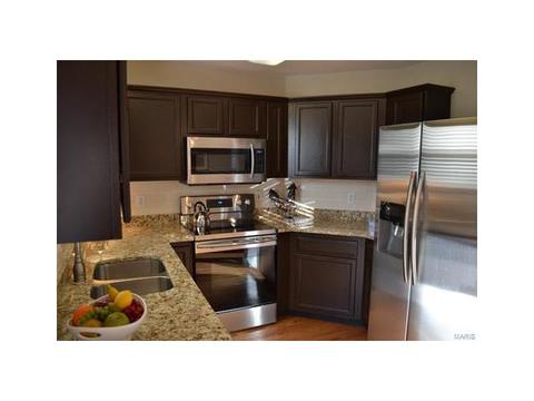 1569 Forest Springs Dr, Ballwin, MO 63021 photo 3