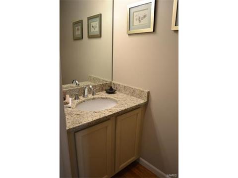 1569 Forest Springs Dr, Ballwin, MO 63021 photo 13