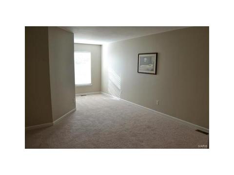 1569 Forest Springs Dr, Ballwin, MO 63021 photo 8