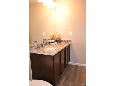 1569 Forest Springs Dr, Ballwin, MO 63021 photo 10