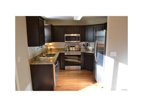 1569 Forest Springs Dr, Ballwin, MO 63021 photo 5