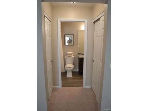 1569 Forest Springs Dr, Ballwin, MO 63021 photo 9