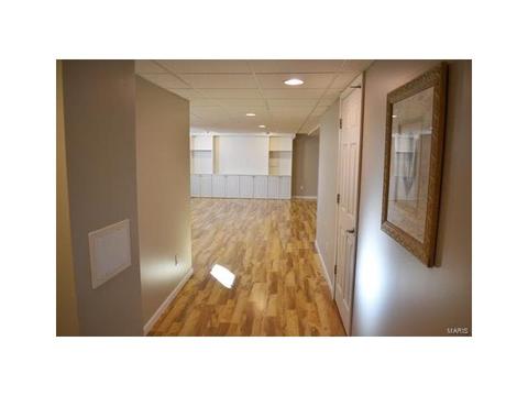 1569 Forest Springs Dr, Ballwin, MO 63021 photo 14