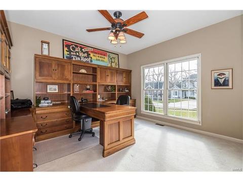 409 Bluff Meadow Dr, Ellisville, MO 63021 photo 5