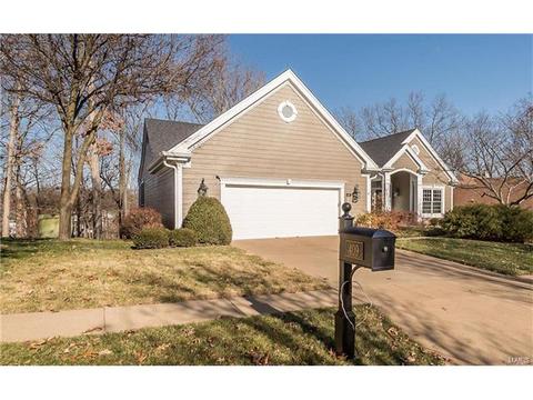 409 Bluff Meadow Dr, Ellisville, MO 63021 photo 52