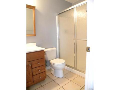 13337 Hiddendale Ln, Ballwin, MO 63021 photo 11