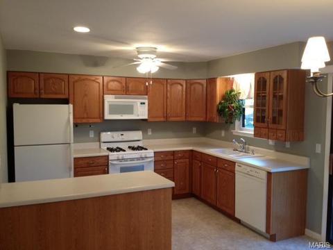 13337 Hiddendale Ln, Ballwin, MO 63021 photo 3