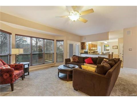 422 Arbor Glen Dr, Ballwin, MO 63021 photo 7