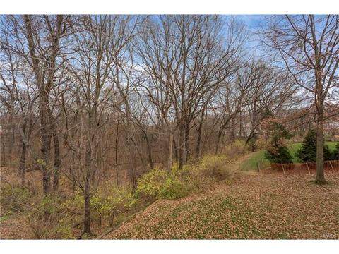 422 Arbor Glen Dr, Ballwin, MO 63021 photo 34