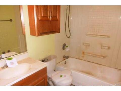 51 Plackemeier Dr, O'fallon, MO 63366 photo 8