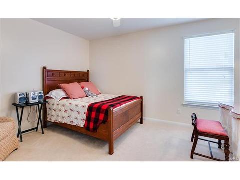 408 Copper Tree Trl, O'fallon, MO 63368 photo 29