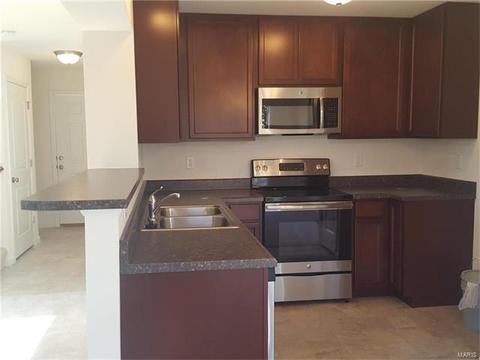 460 Rosedale Ter, Ballwin, MO 63021 photo 3