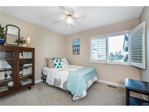 16555 Birch Forest Dr, Wildwood, MO 63011 photo 16
