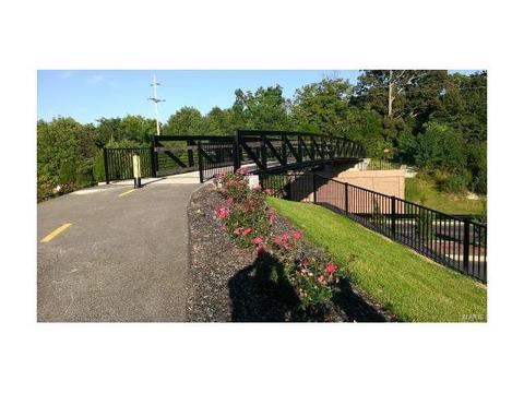 16555 Birch Forest Dr, Wildwood, MO 63011 photo 20