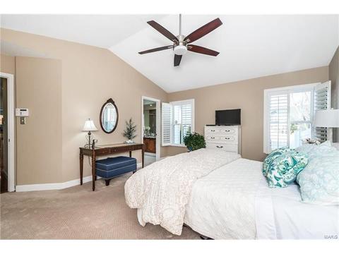 16555 Birch Forest Dr, Wildwood, MO 63011 photo 13