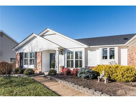 16555 Birch Forest Dr, Wildwood, MO 63011 photo 19