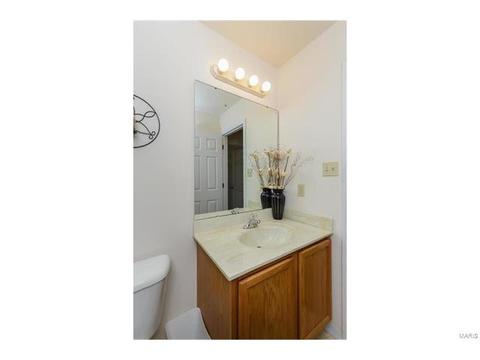 414 Dovedale Dr, O'fallon, MO 63366 photo 32