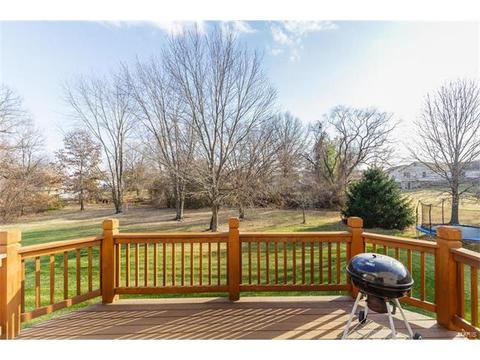 414 Dovedale Dr, O'fallon, MO 63366 photo 10