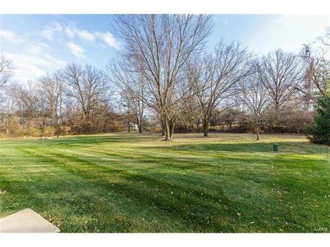 414 Dovedale Dr, O'fallon, MO 63366 photo 50