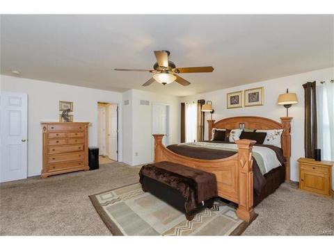 414 Dovedale Dr, O'fallon, MO 63366 photo 23
