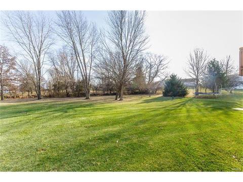 414 Dovedale Dr, O'fallon, MO 63366 photo 45