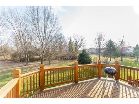 414 Dovedale Dr, O'fallon, MO 63366 photo 17