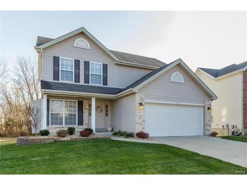 414 Dovedale Dr, O'fallon, MO 63366 photo 43