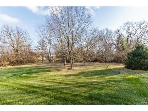414 Dovedale Dr, O'fallon, MO 63366 photo 18