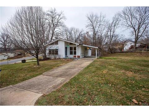 220 Chamberlin Dr, Ballwin, MO 63021 photo 12