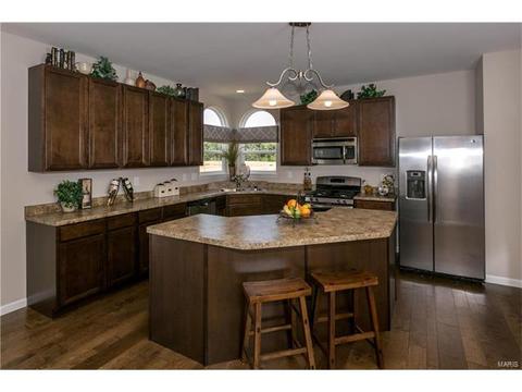 17664 Trailmark Ct, Eureka, MO 63025 photo 8