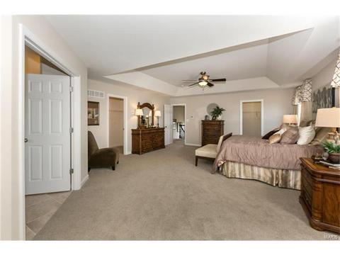 17664 Trailmark Ct, Eureka, MO 63025 photo 11