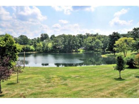 19 Lochhaven Ln, Ballwin, MO 63021 photo 25