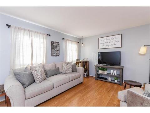 870 Brookmead Dr, O'fallon, MO 63366 photo 19