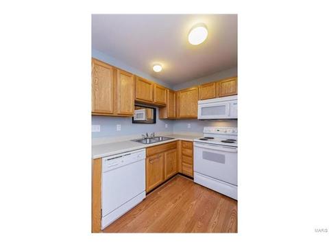 870 Brookmead Dr, O'fallon, MO 63366 photo 22