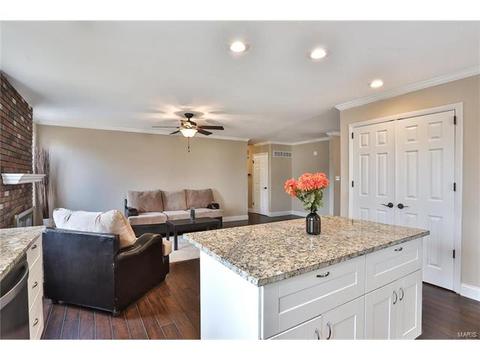 674 Dougherty Estates Dr, Ballwin, MO 63021 photo 8