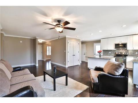 674 Dougherty Estates Dr, Ballwin, MO 63021 photo 6
