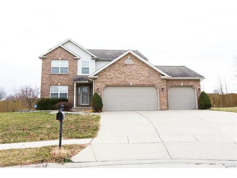 800 Grace Point Ct, O Fallon, IL 62269 photo 1