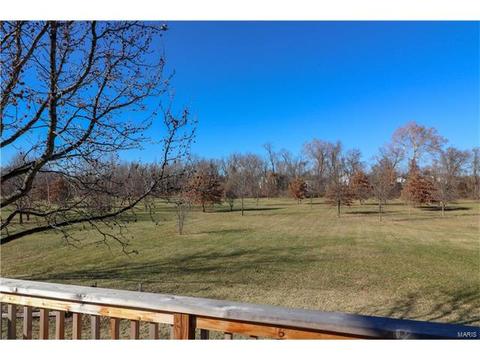 1235 Saddlemaker Ct, Saint Charles, MO 63304 photo 25