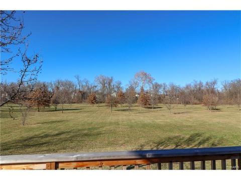 1235 Saddlemaker Ct, Saint Charles, MO 63304 photo 26