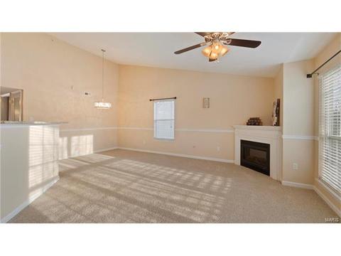 1609 Forest Springs Ln #D, Ballwin, MO 63021 photo 4