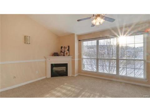 1609 Forest Springs Ln #D, Ballwin, MO 63021 photo 3