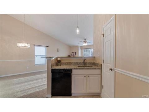 1609 Forest Springs Ln #D, Ballwin, MO 63021 photo 7