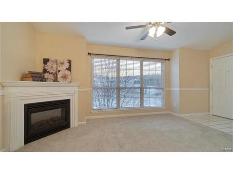 1609 Forest Springs Ln #D, Ballwin, MO 63021 photo 2