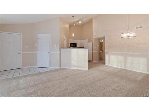1609 Forest Springs Ln #D, Ballwin, MO 63021 photo 9